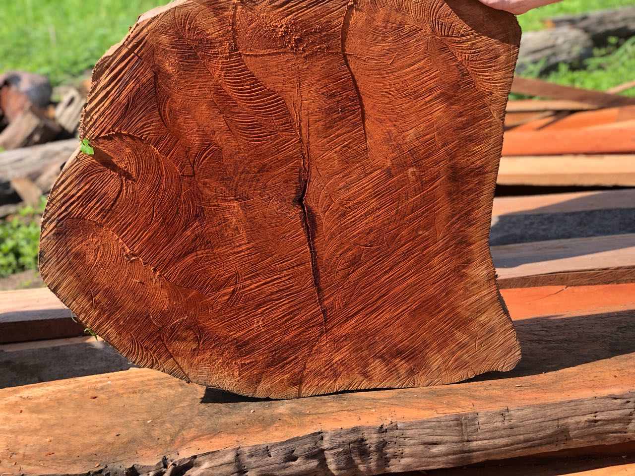 Holz Cookies aus den schönsten Holzarten des Bayano Stauseeholz mit atemberaubender Maserung, für natürliche Designelemente und Kunst.